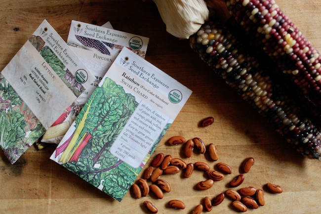 Southern Exposure Seed Exchange packets with corn