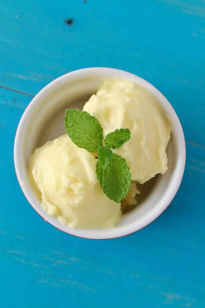 sugar free sorbet in bowl