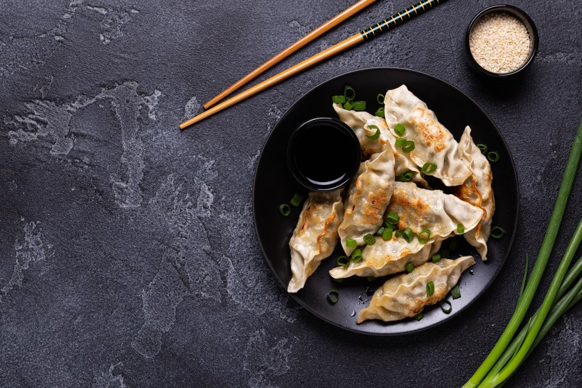 Fried dumplings Gyoza on a plate on a gray concrete background