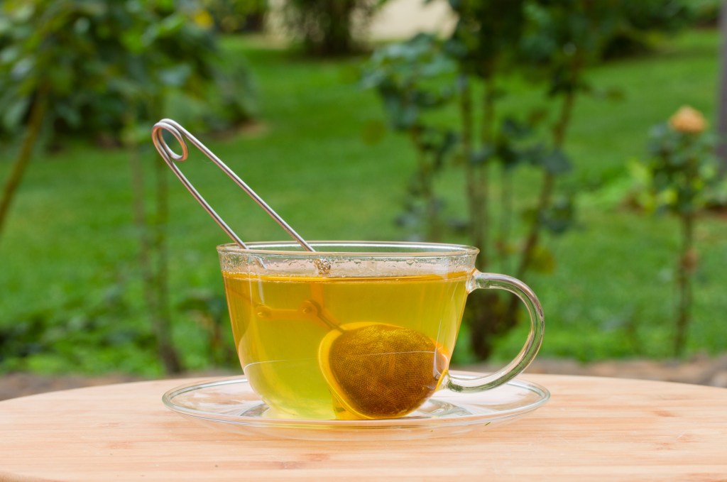 cup of tea in green garden