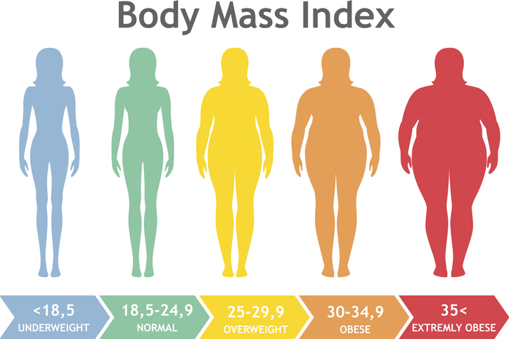Body mass index vector illustration from underweight to extremely obese.