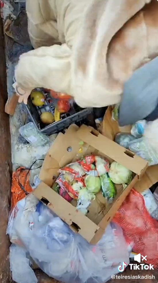 dumpster diving tik tok
