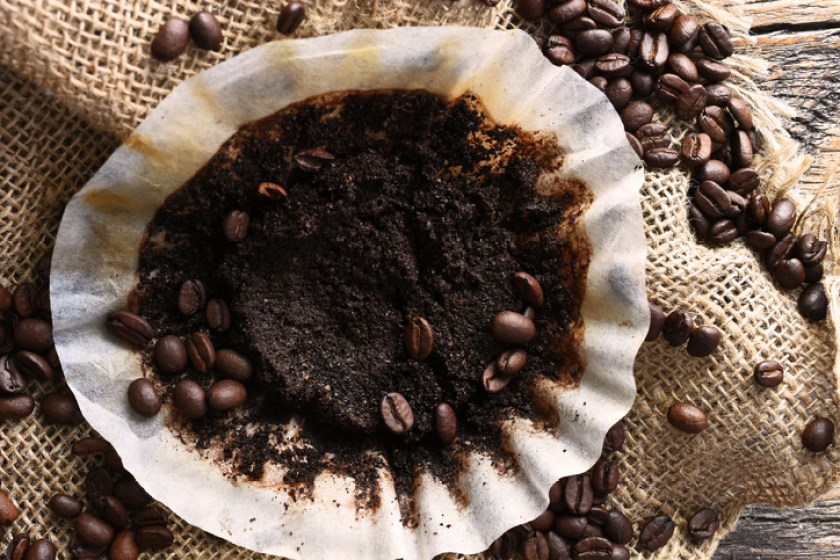 Old Used Coffee Filter