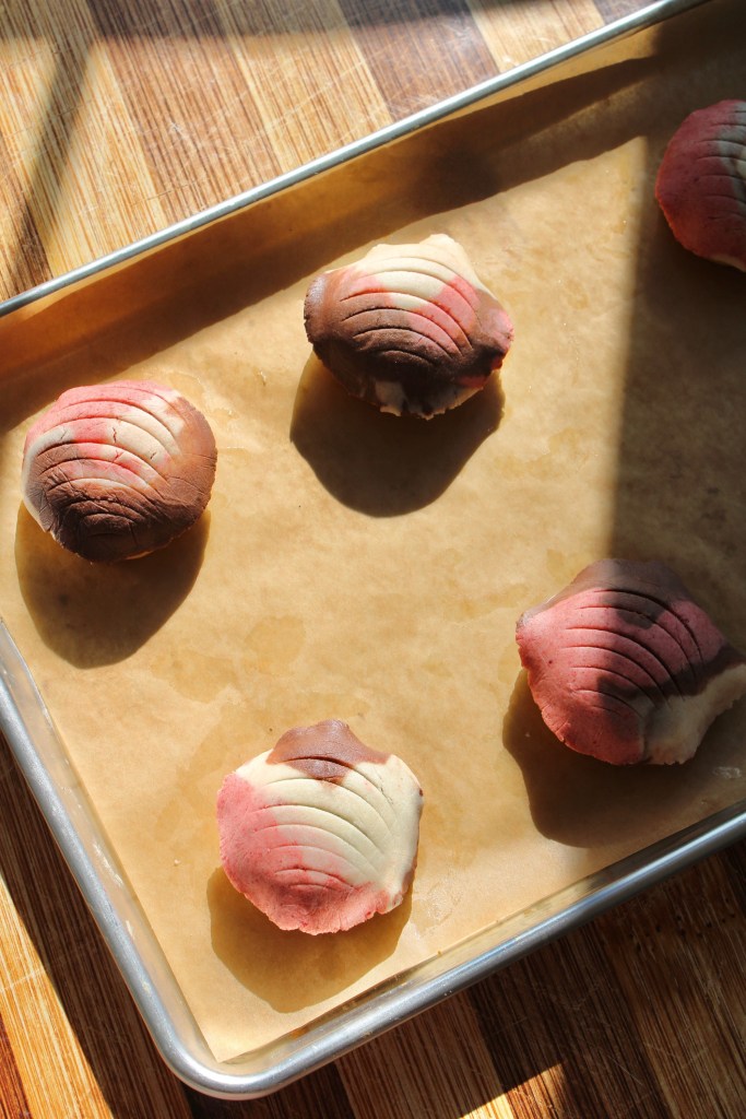 Concha on a pan