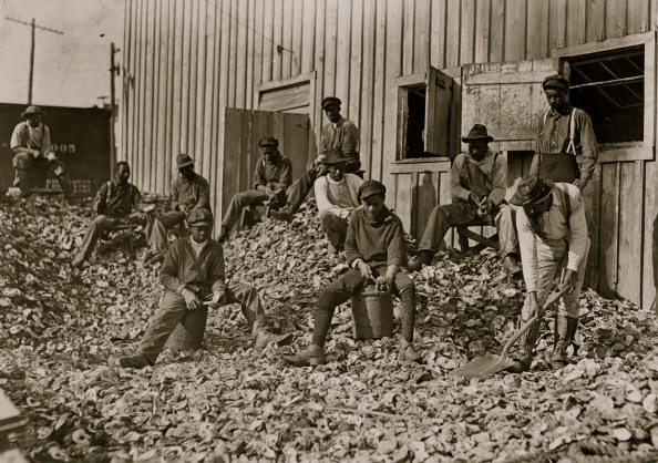 Young Oyster Shuckers