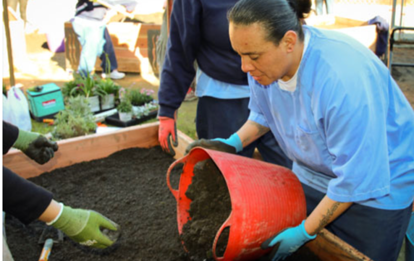 prisoners gardening