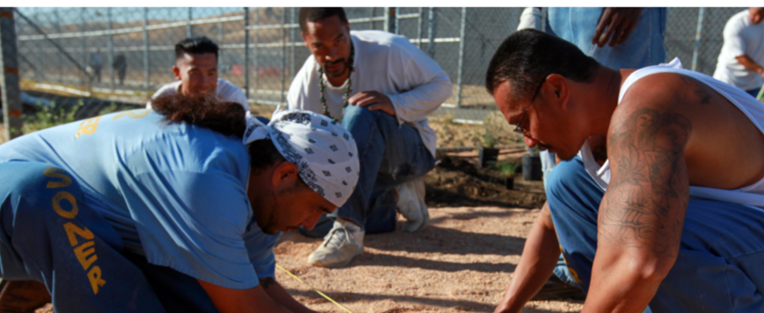 prisoners gardening