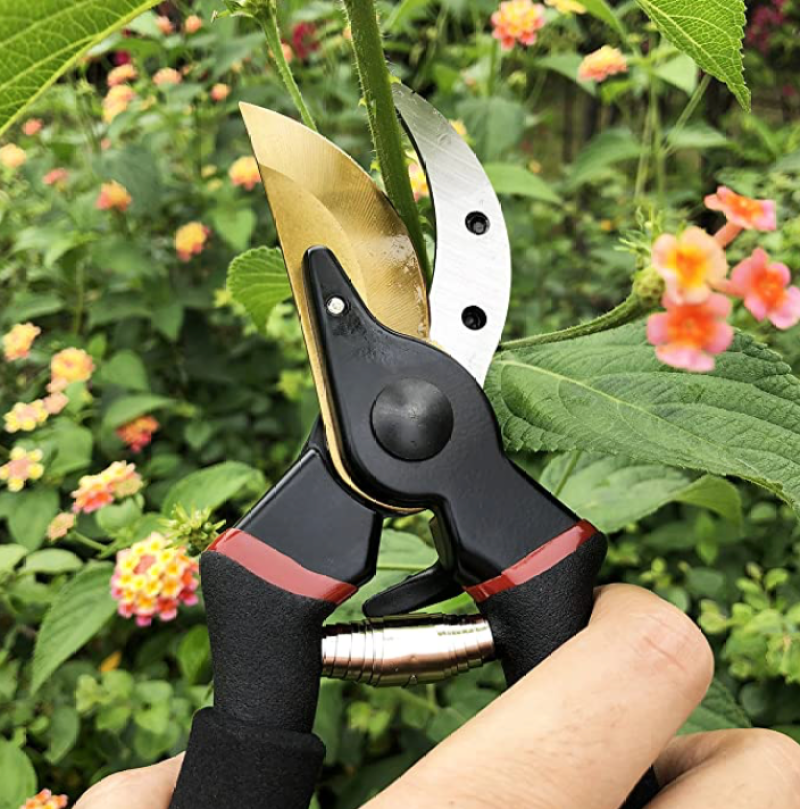 pruning shears
