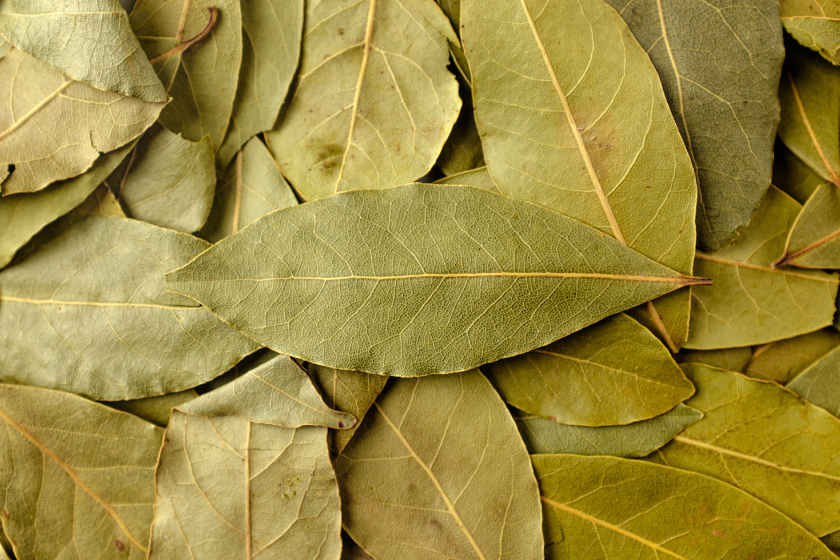 bay leaf spring renewal herbs