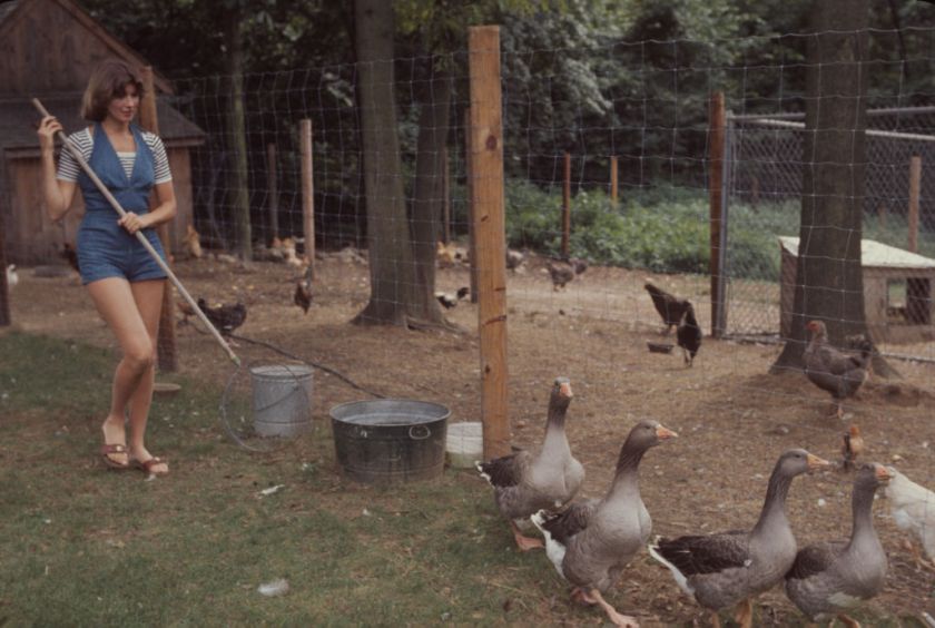 American businesswoman Martha Stewart carries a net as she herds geese on the grounds of her home, Westport, Connecticut, August 1976. (Photo by Susuan Wood/Getty Images)
