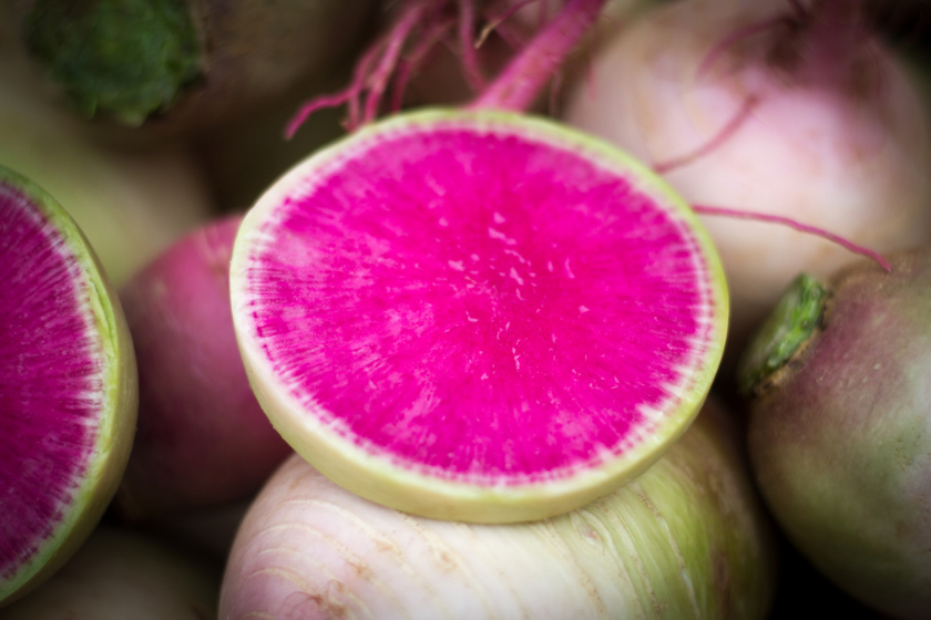 types of radishes
