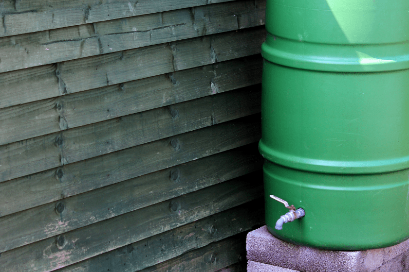 green rain barrel