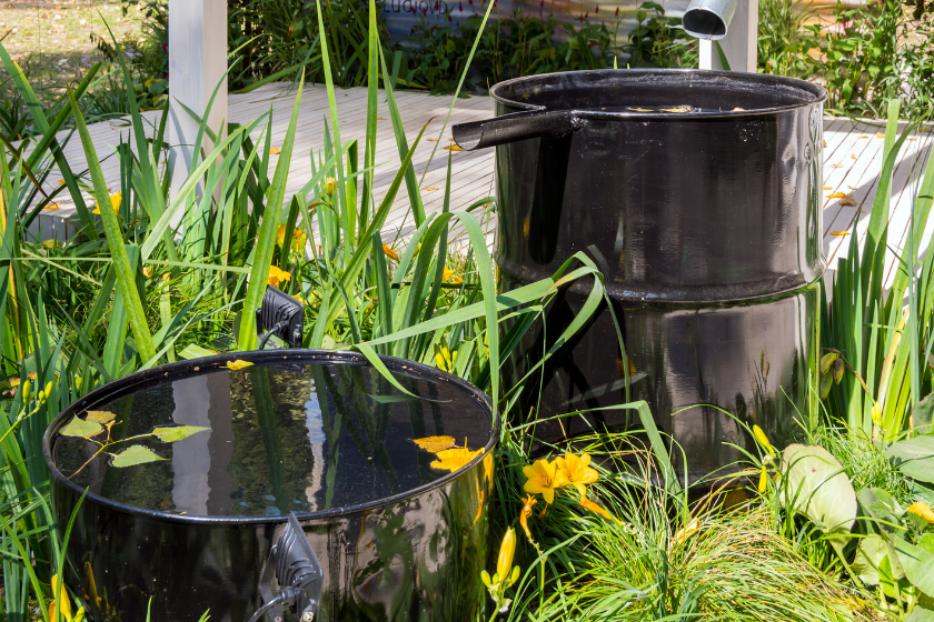 fancy rainbarrel setup