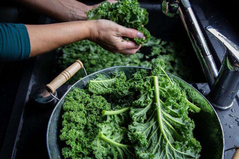 does kale need direct sunlight