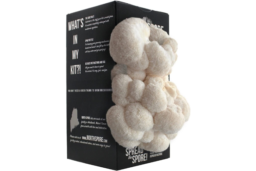 mushroom grow kits