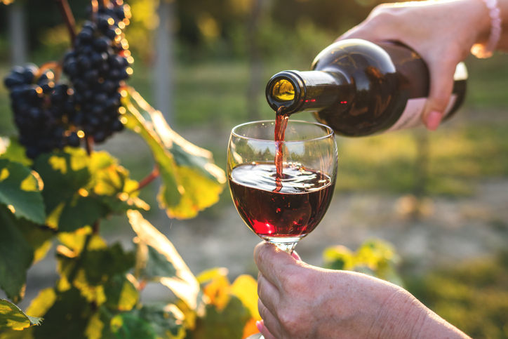 Woman pouring red wine from bottle into drinking glass at vineyard. 